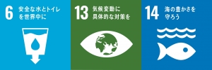 sdg_icon.jpg